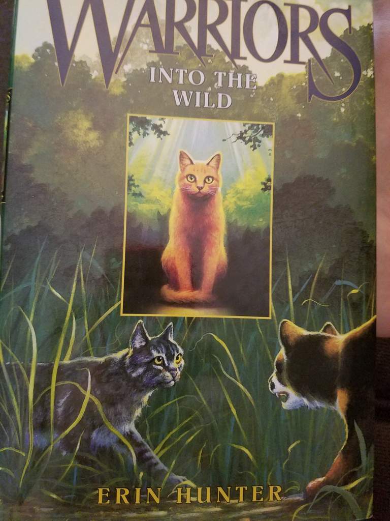 warrior cats forest of secrets