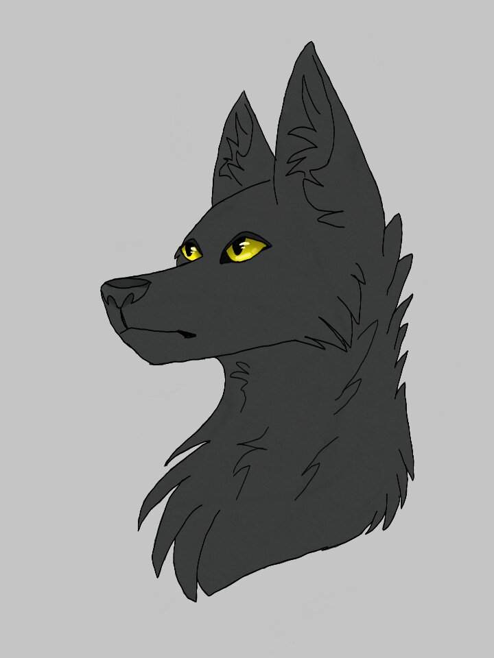 black wolf furry