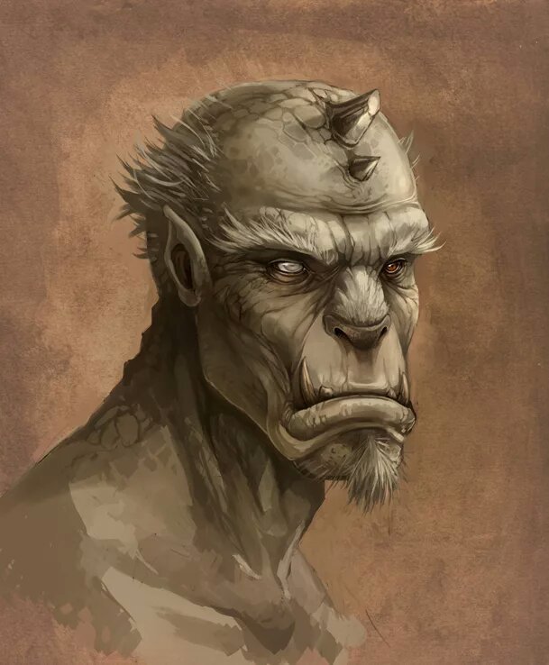 Орки | Wiki | The Elder Scrolls Rus Amino
