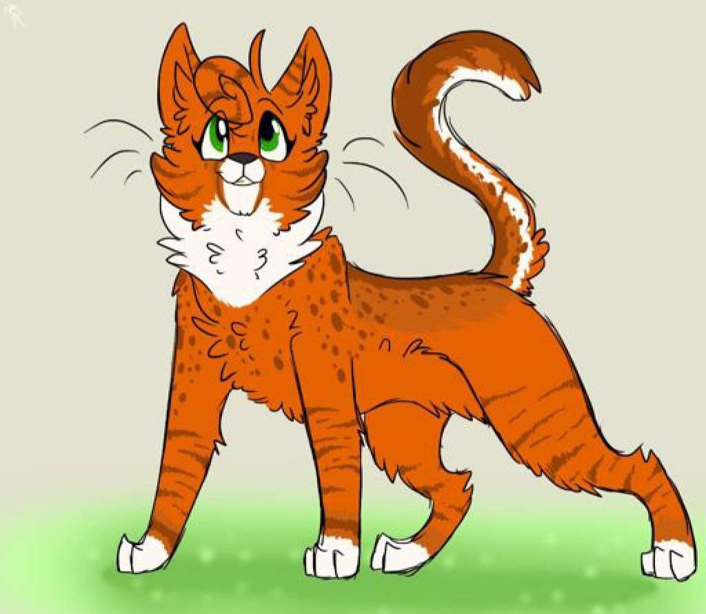 Grouchy Old Lady S Way Too Extensive Guide To Warrior Cats Roleplaying Warriors Amino