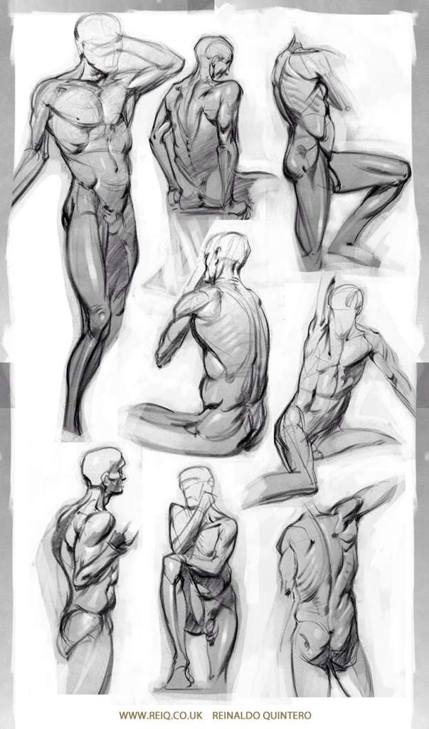 life drawing male model