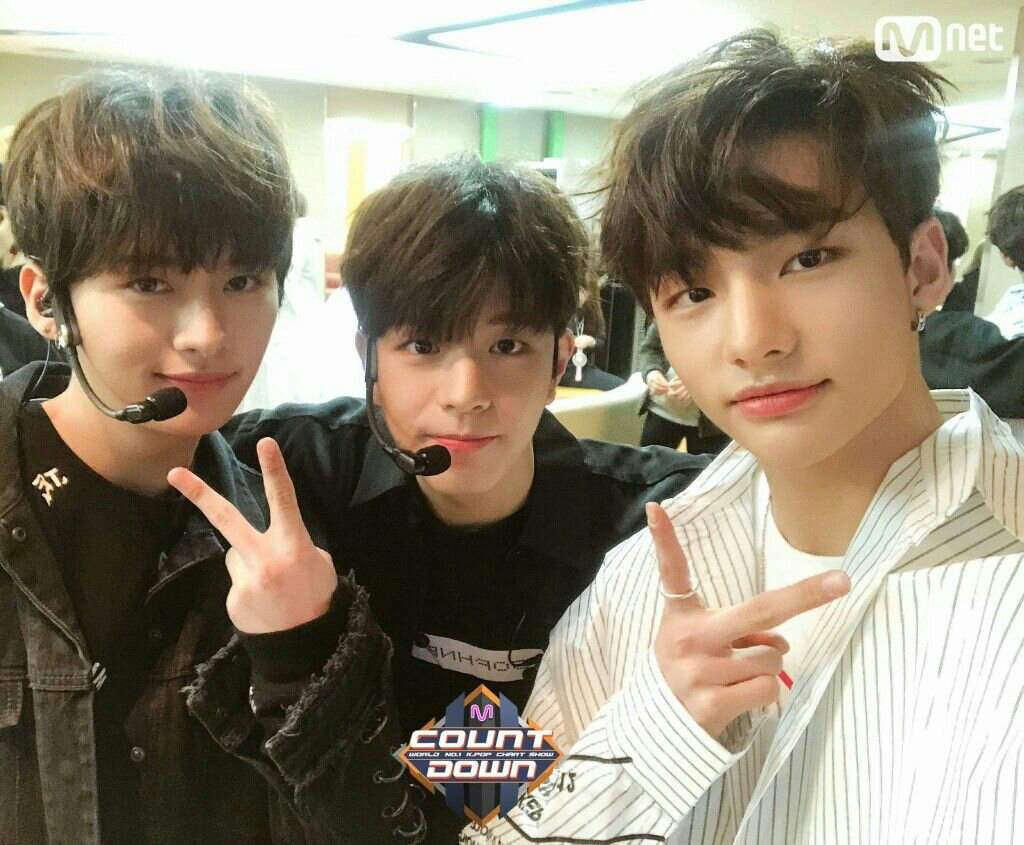 Day 6 (Hyunjin + Seungmin & Minho) | Stray Kids Amino