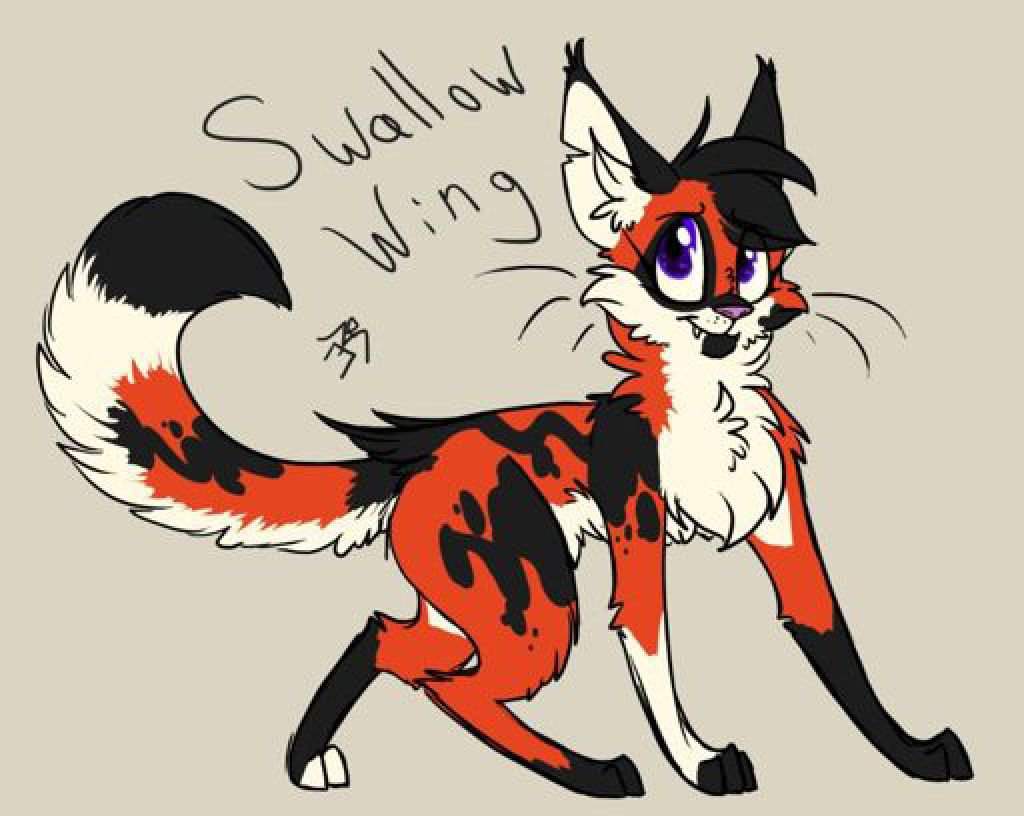 Grouchy Old Lady S Way Too Extensive Guide To Warrior Cats Roleplaying Warriors Amino