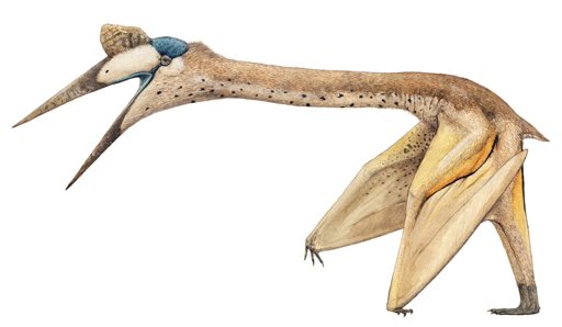 Quetzalcoatlus | Wiki | Dinosaur Planet Amino