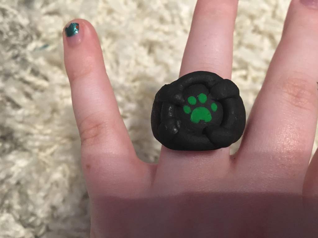 Miraculous ring chat noir