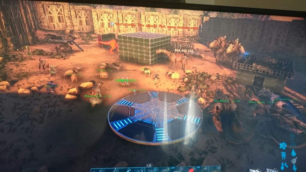 My Scorched Earth Base Ark Survival Evolved Amino