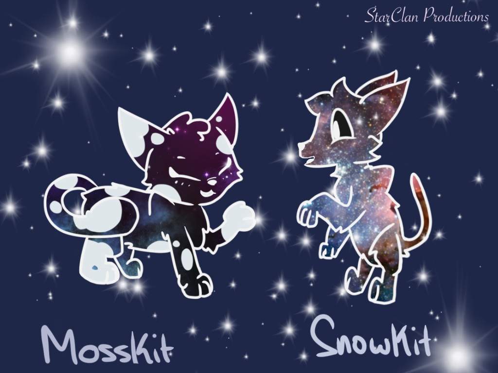 StarClan kits | Warriors Art 🖌 Amino