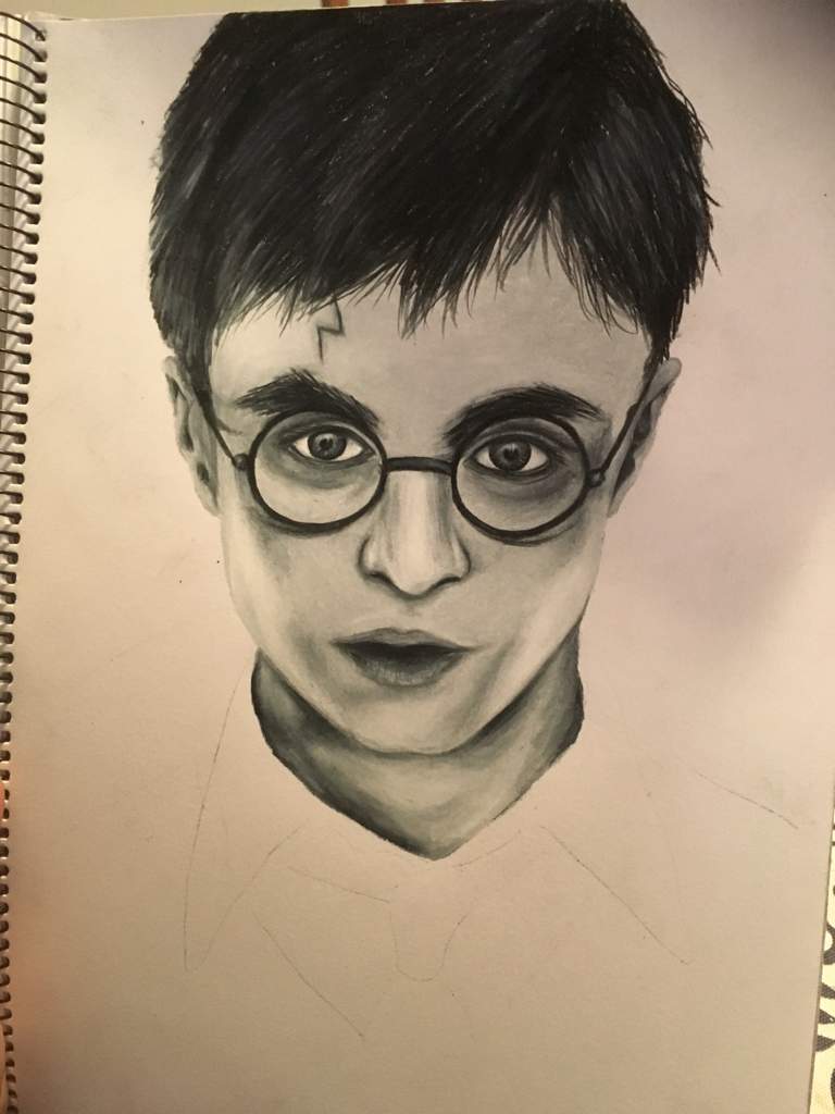 Harry Potter Portrait | Harry Potter Amino