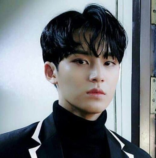 😎Mingyu😎 | Wiki | Carat 캐럿 Amino