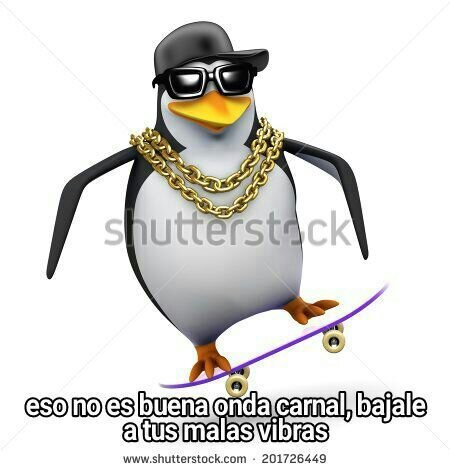 Pinguino Hd 