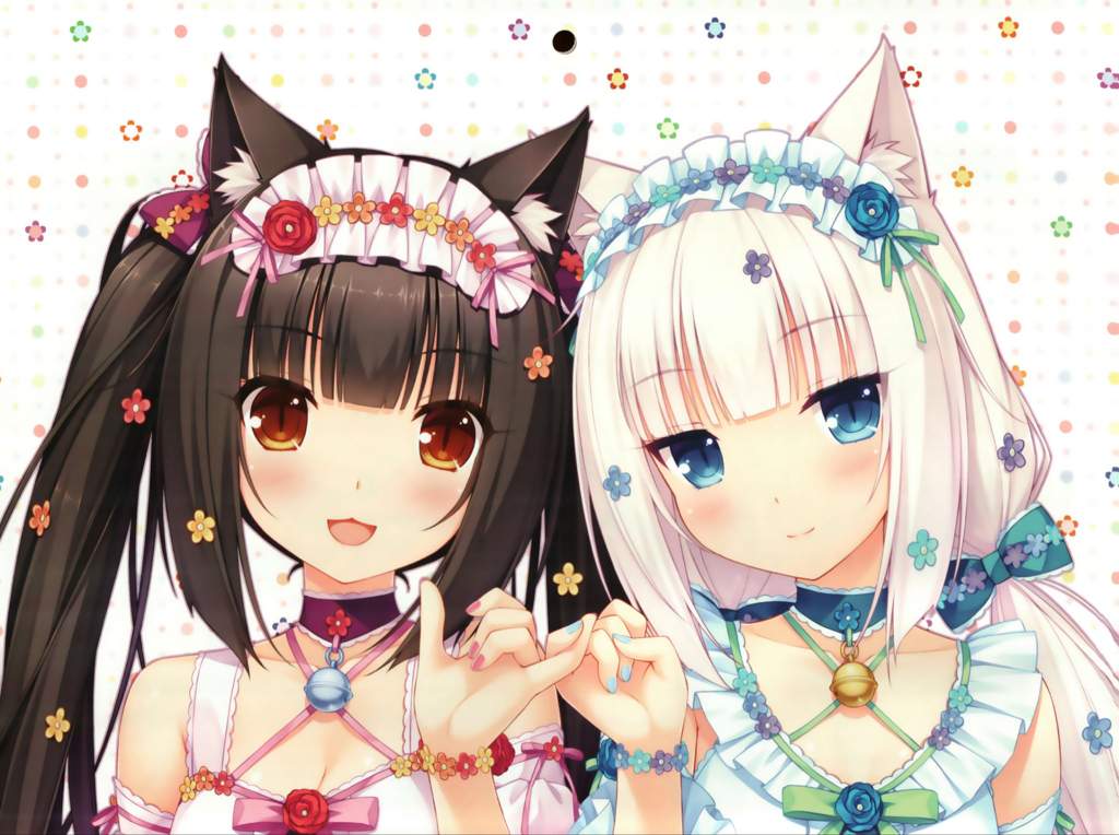 Nekopara Chocola Vanilla Anime Amino Nekopara Chocola Vanilla Anime Amino
