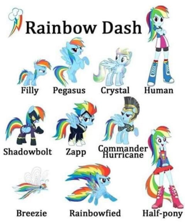 rainbow dash stuff