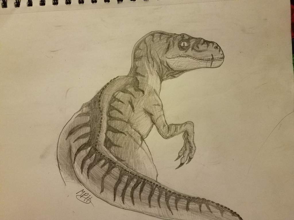 tiger striped velociraptor