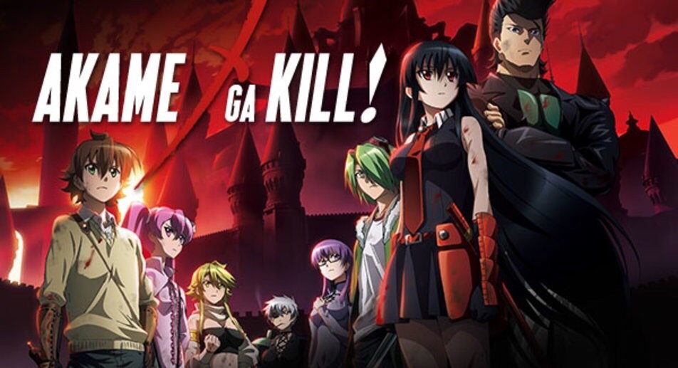 Akame Ga Kill Symbolism Concepts Anime Amino