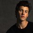 amino-Shawn_mendes.-335b1d0a