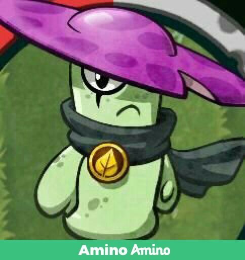 Gorro de noche (ficha) | Wiki | 🌿Universo PvZ💀PvZ Oficial Amino