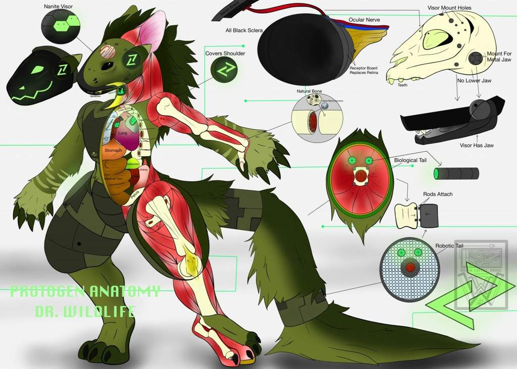 A Protogen Has Come to Life! 