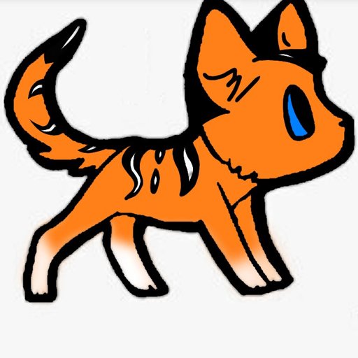 Flamepaw | Wiki | 🌌Warriors|5 Clans🌌 Amino