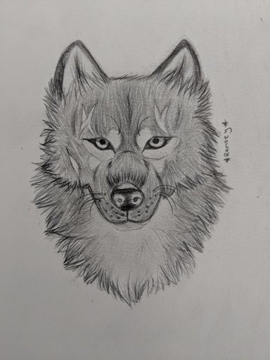 Taking Realism Wolf Art Requests [closed] 