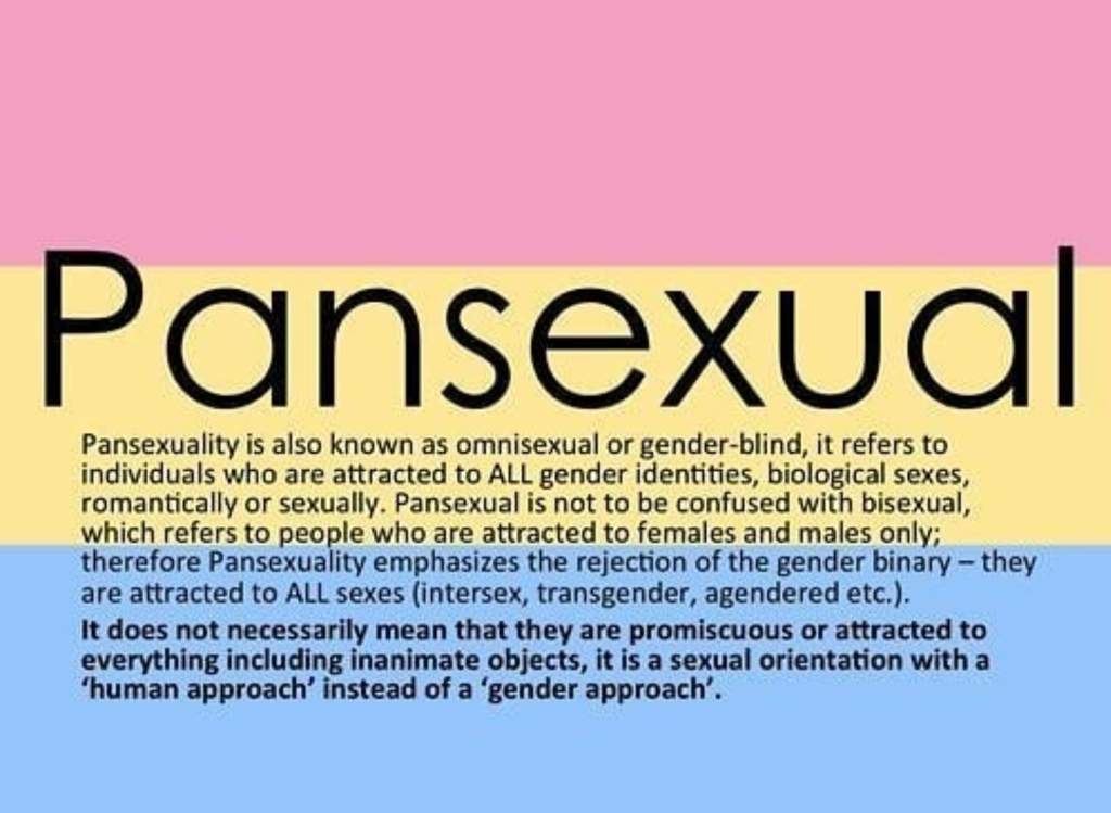what is pansexaul