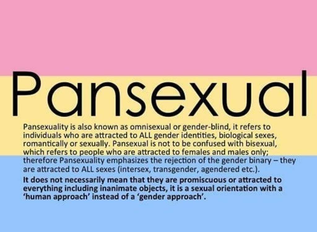 What Is Pansexual Lgbt Amino