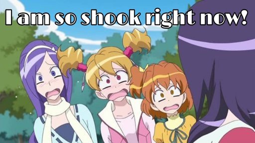 Meme Challenge Entry | Precure Amino