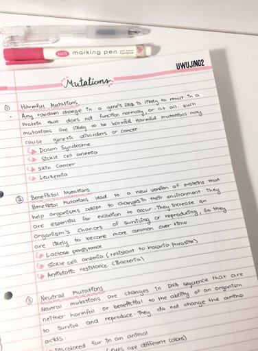 Bio Notes~ | Studying Amino Amino