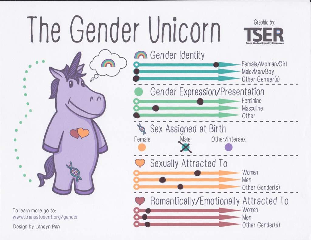 The Gender Unicorn | Wattpad Amino
