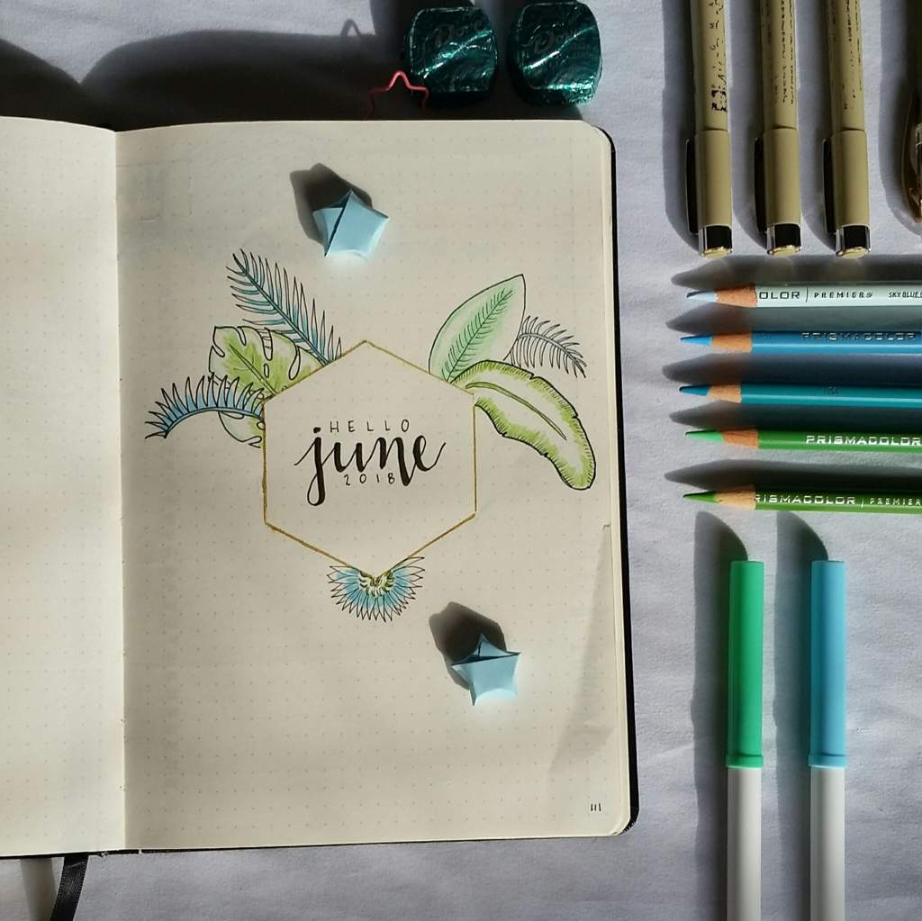 June Spreads 🌴 