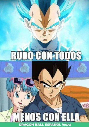 Memes de Vegeta 🌱 | DRAGON BALL ESPAÑOL Amino