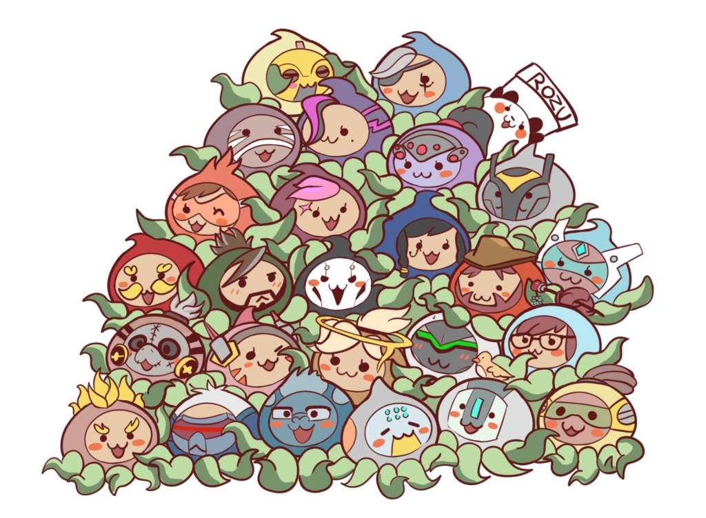 dva pachimari