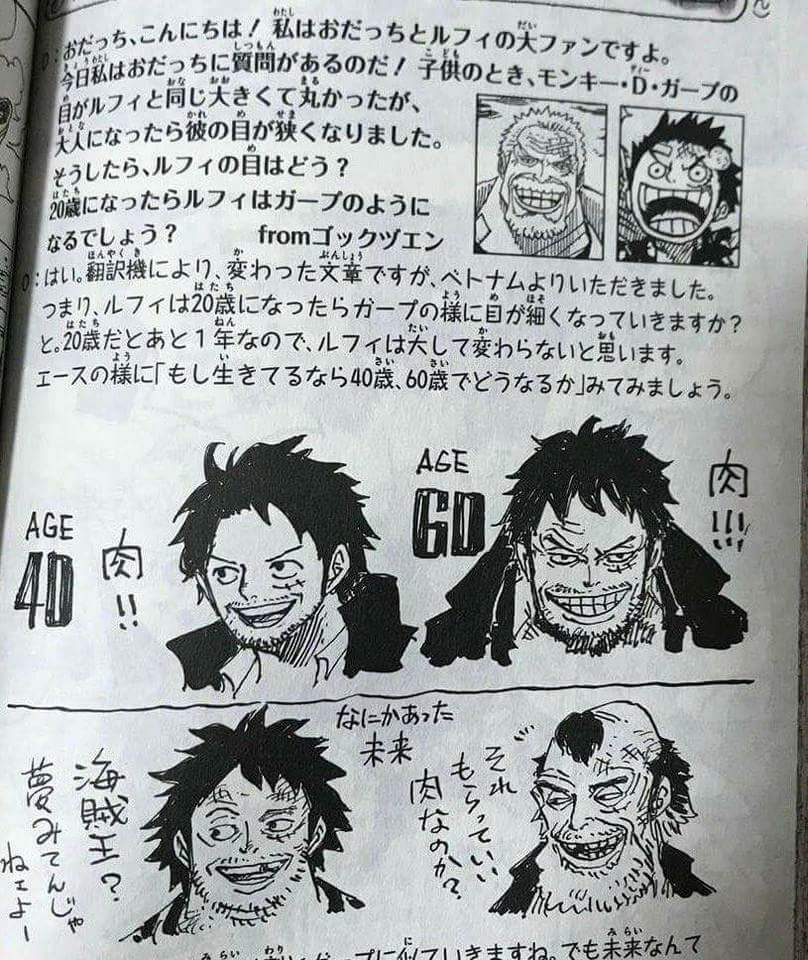 Luffy As A 40 And 60 Year Old According To Oda Himself One Piece Amino