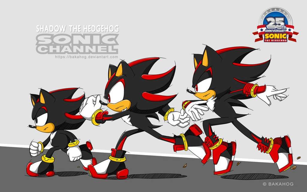 is sonic and shadow brothers