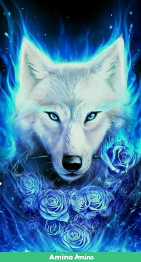 furia | Wiki | - Lobos, Otros Animales Y YAOI Amino