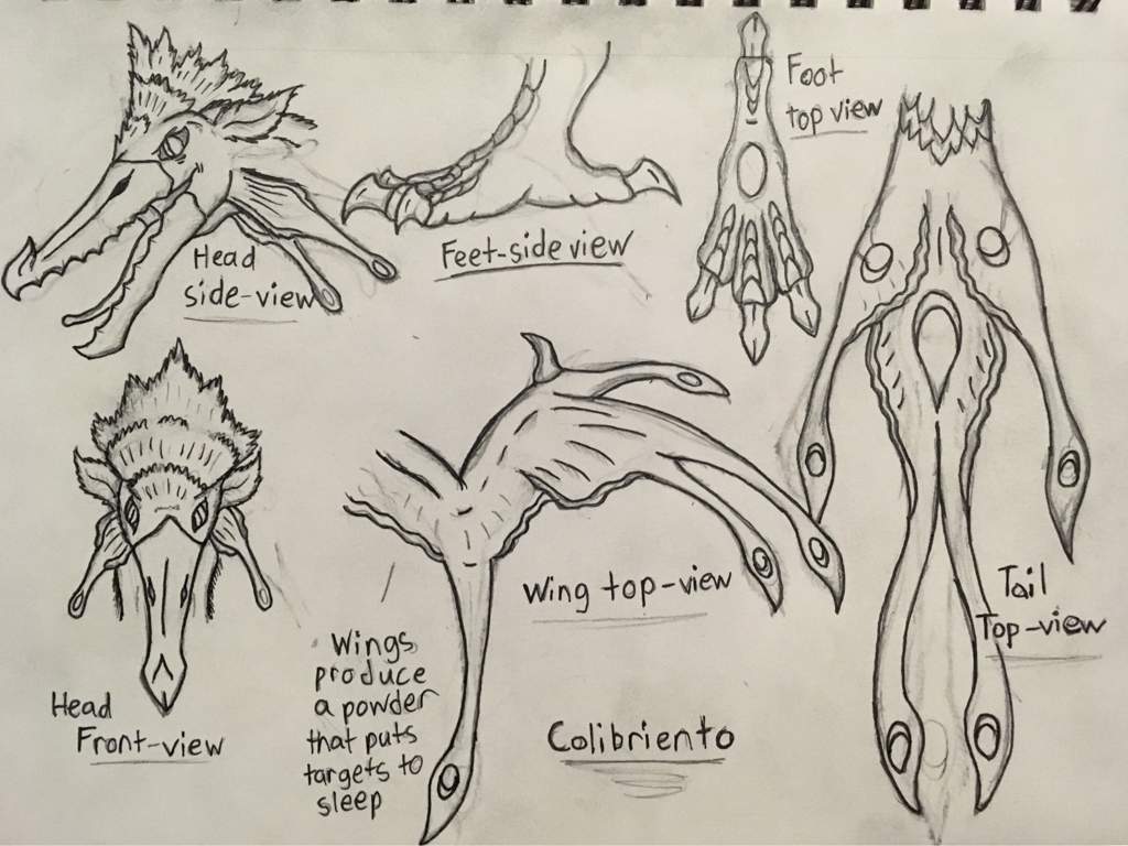 Monster Hunter World Bird Wyvern Concept Monster Hunter Amino   84951a48c503cd5da4735fb3d4557a4553768354v2 Hq 