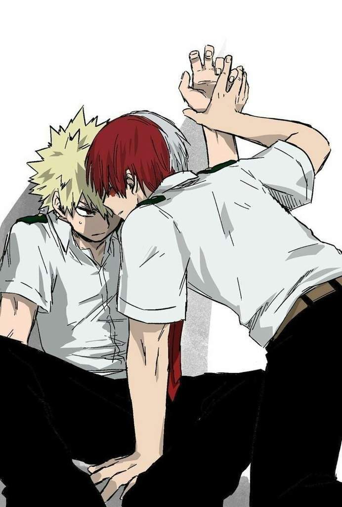 Ship It Or Skip It Bakugo X Todoroki My Hero Academia Amino 