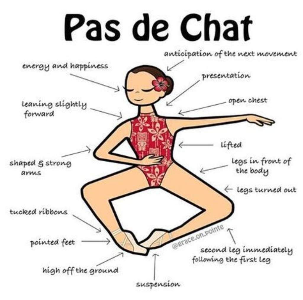 Pas De Chat Ballet Amino Amino