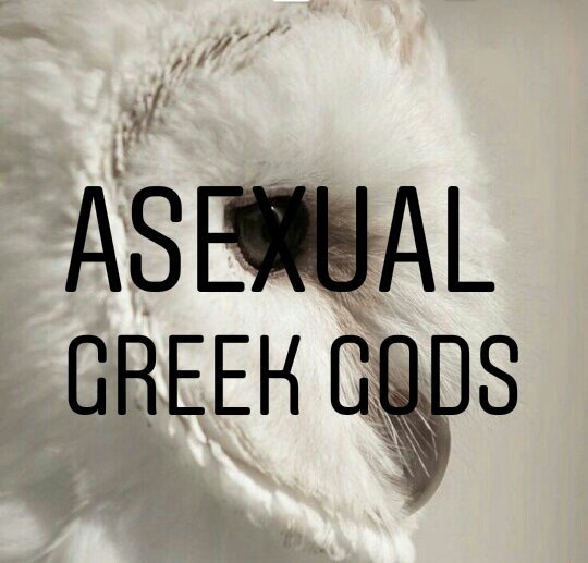 The Asexual Greek Goddess Athena Asexual Gods Part 2 Ace Alliance Amino