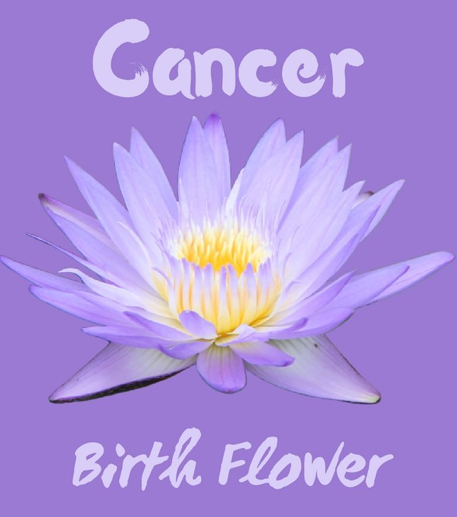 What Is The Flower For Cancer