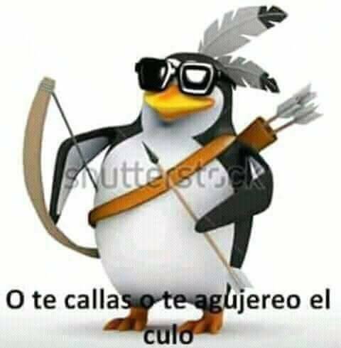 Pinguinos 3# | •Meme• Amino