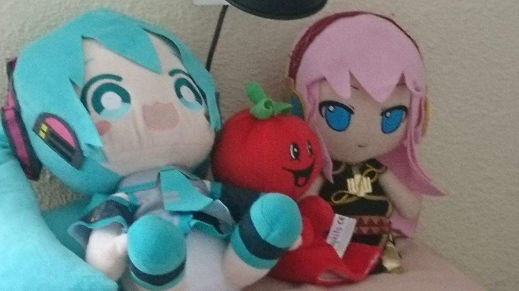 35+ Vocaloid Fukase Plush Images