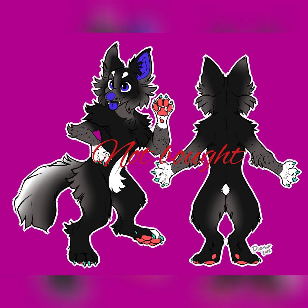 $10 HQ Adopts | Furry Amino