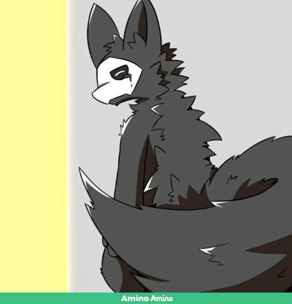 Shark Budd | Changed Amino