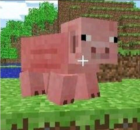 MEU ANIMAL DE ESTIMAÇÃO | Wiki | •× Minecraft PE | BR ×• Amino