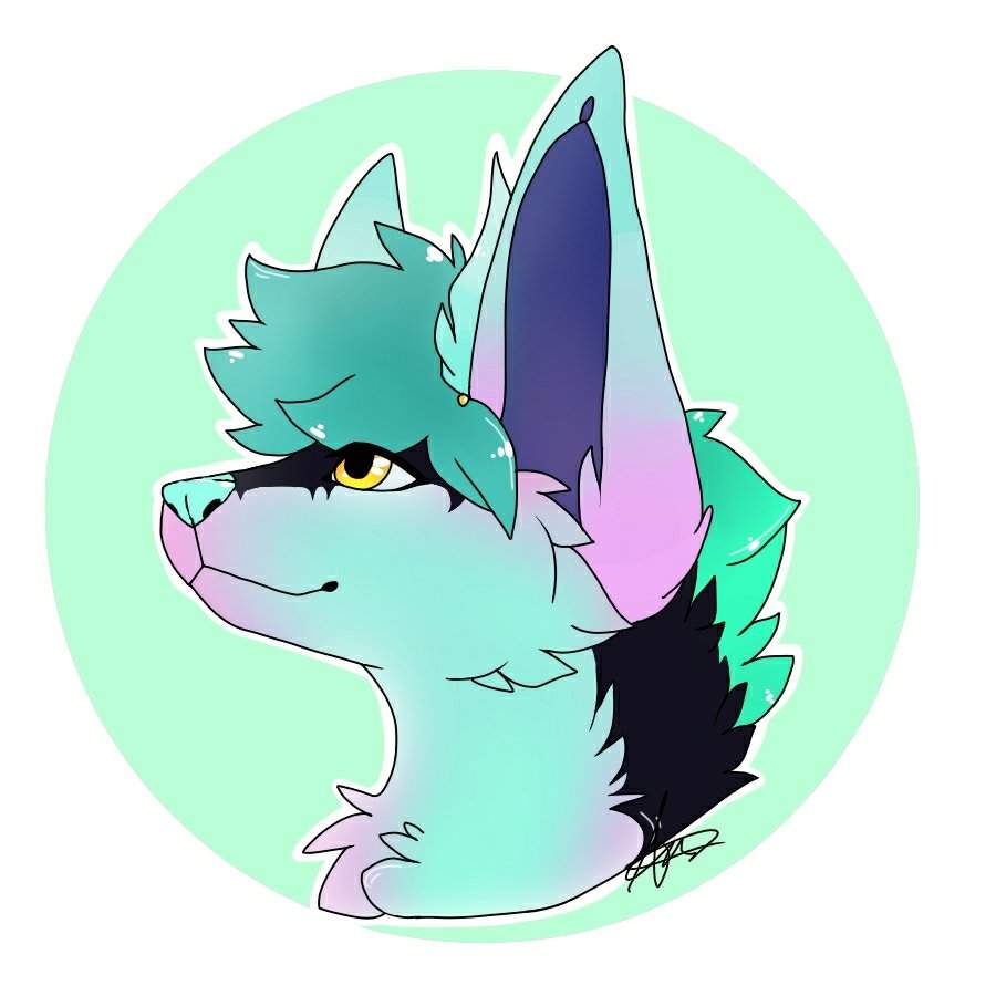 🌟Aurora star🌟 | Wiki | Furry Amino