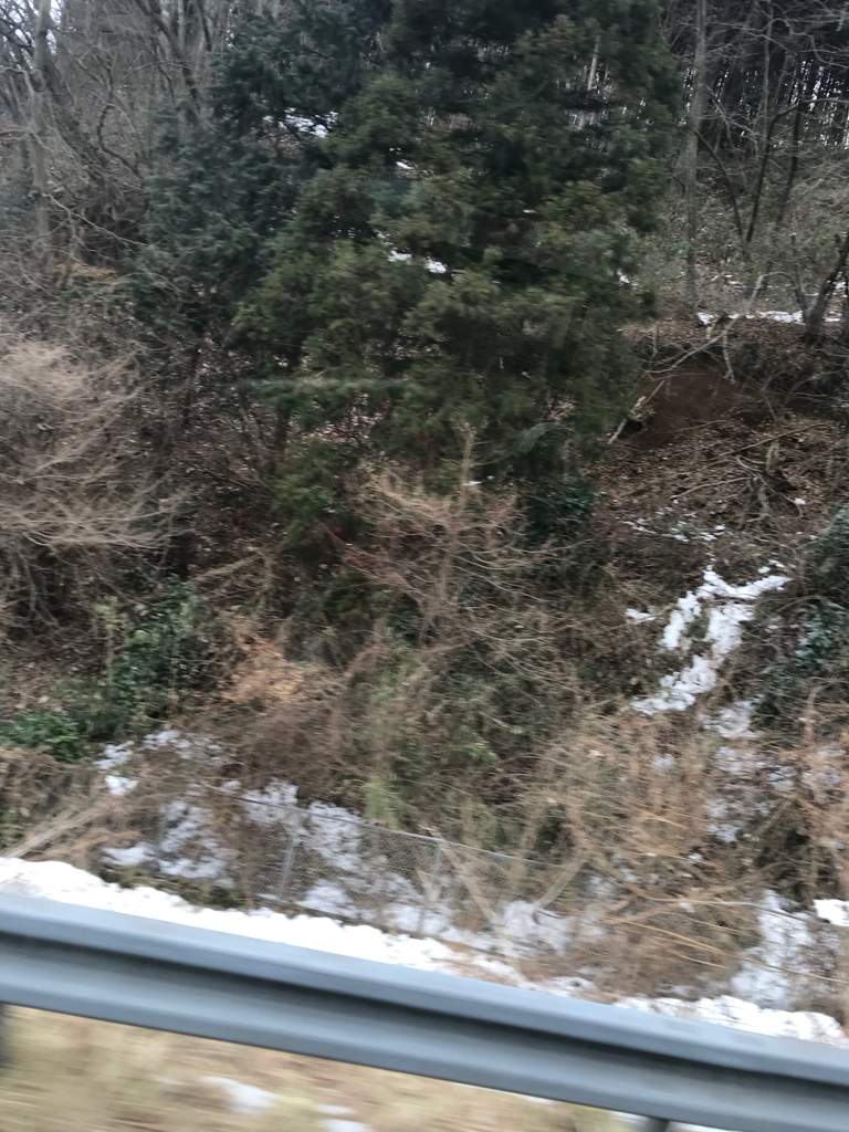 My Trip To Mt Fuji And Hakone In February Japan Amino