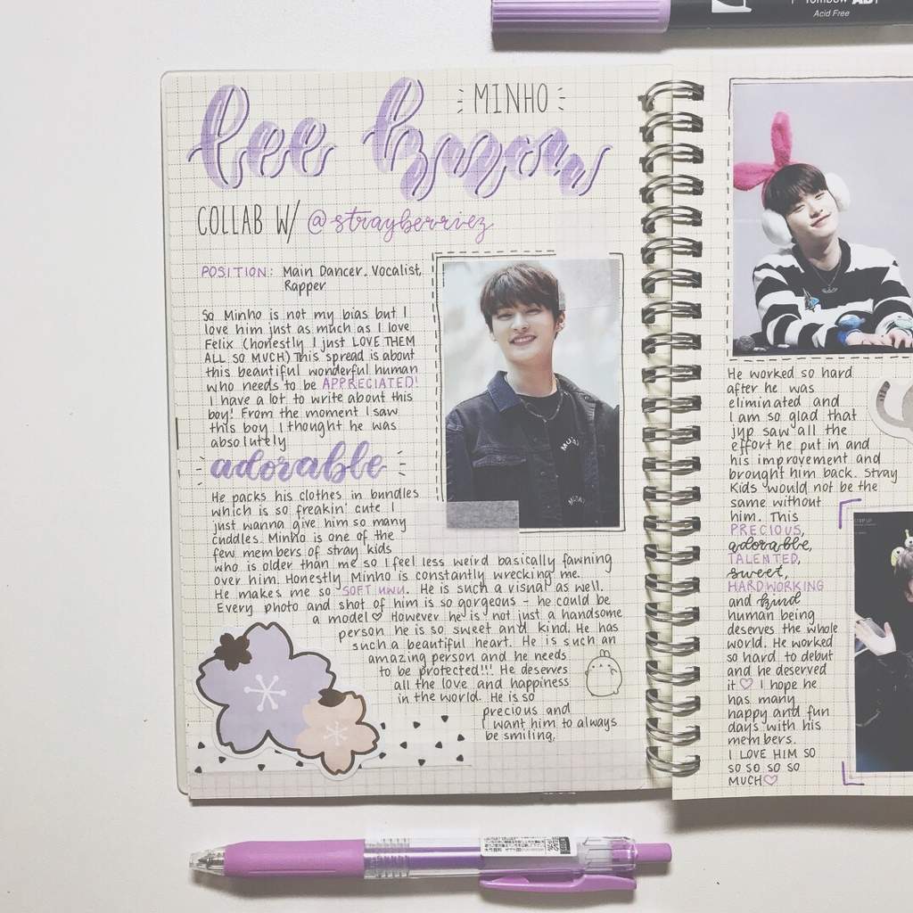 SK Journal: Minho Appreciation Spread~ | Stray Kids Amino