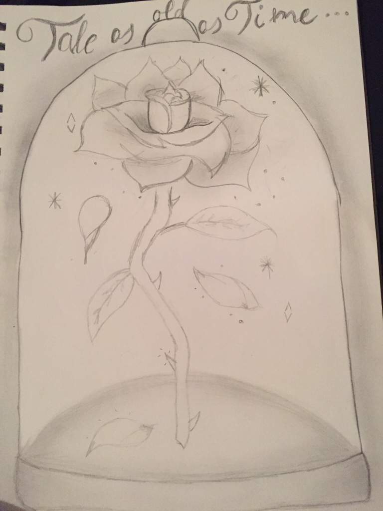 beauty and the beast rose drawing