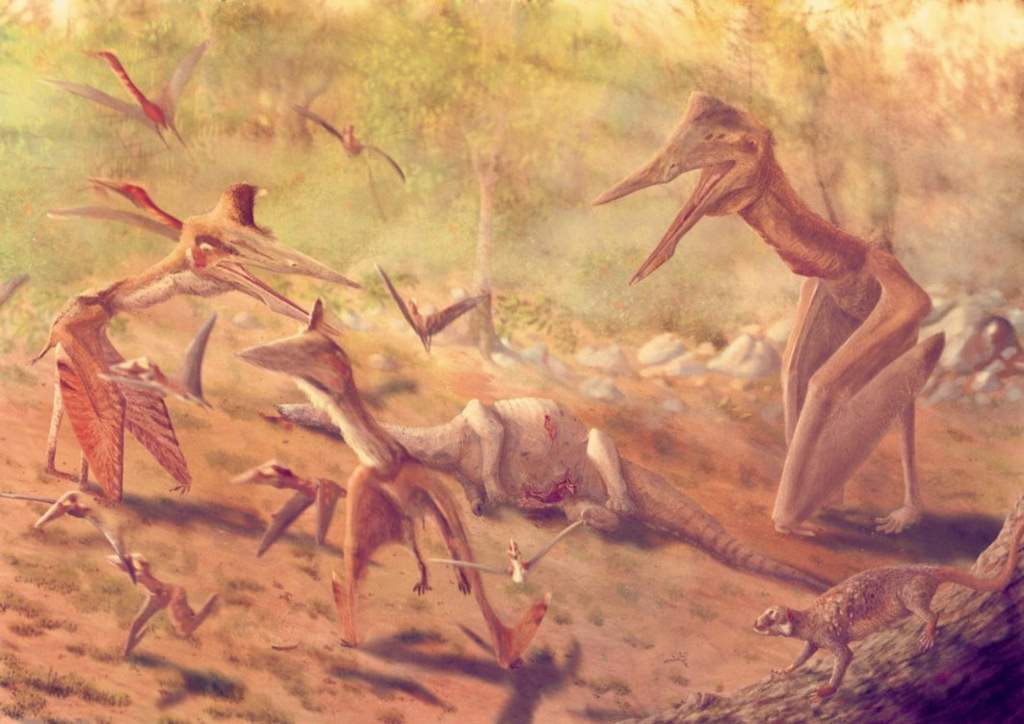 The Current State Of Scientific >> The Current State Of Pterosaur Paleontology Science Amino The Current State Of Scientific >> The Current State Of Pterosaur Paleontology Science Amino