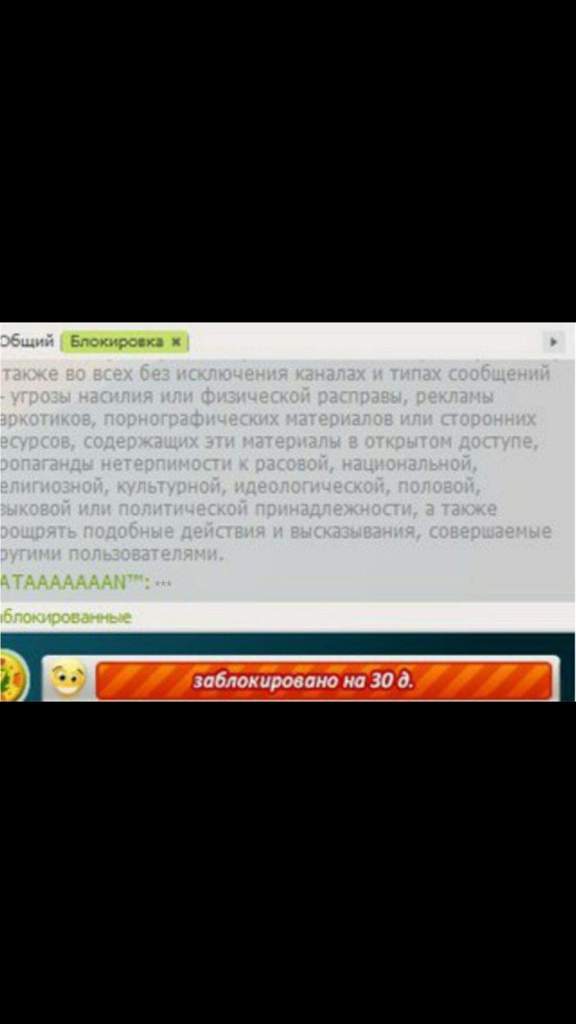 В какой соц сети было дополнение аватарии в виде связанного приложения зимние войны